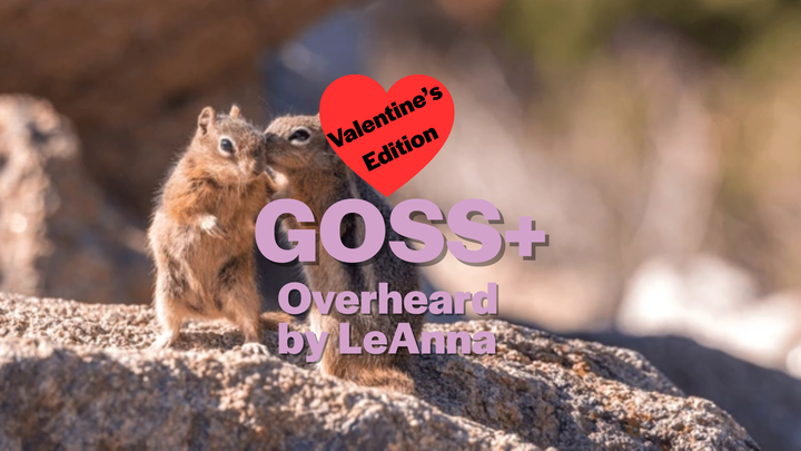Goss+ Valentine's Edition